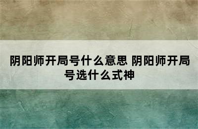 阴阳师开局号什么意思 阴阳师开局号选什么式神